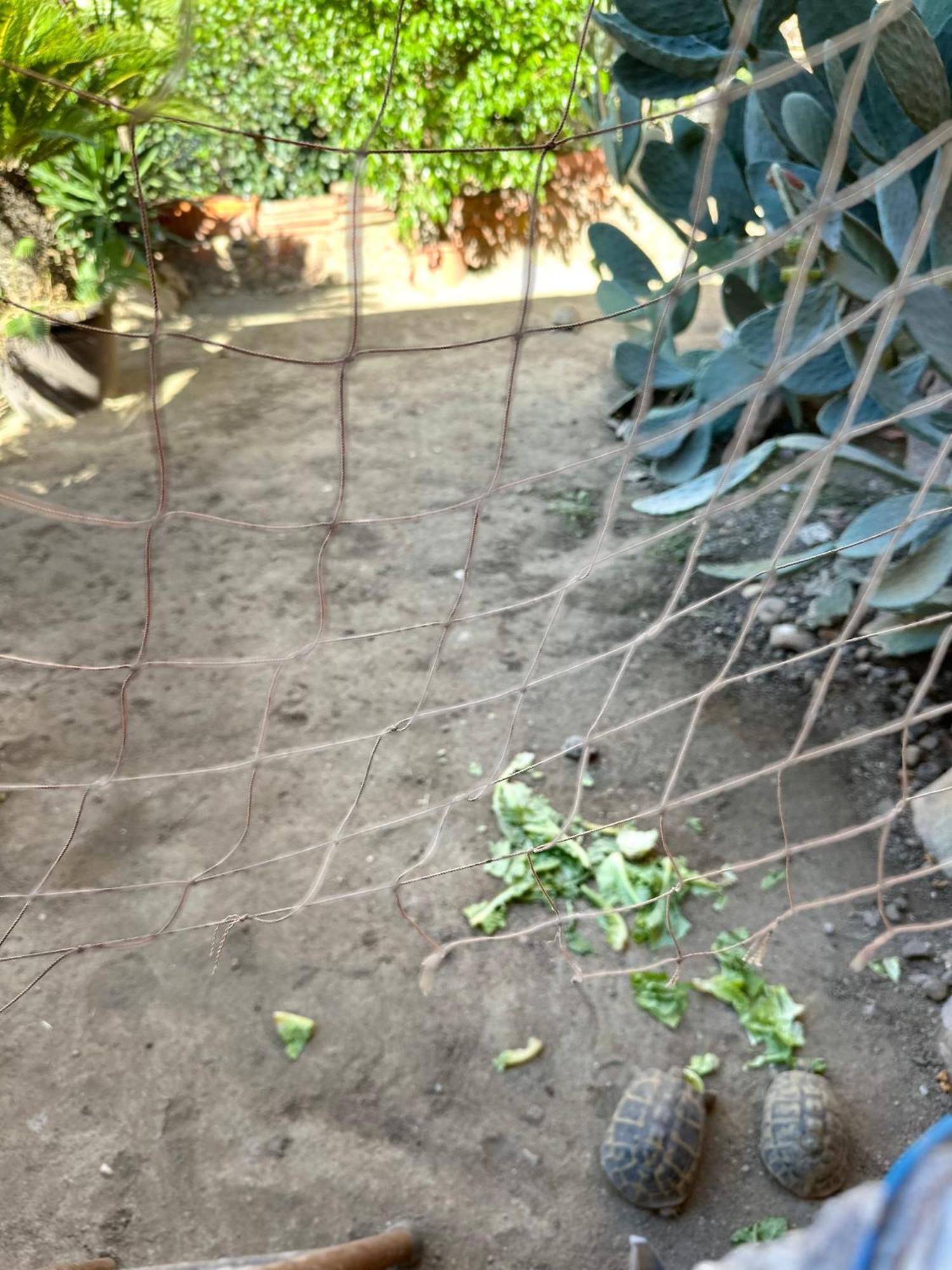 Garden Of Bitter Villa CTA Exterior photo